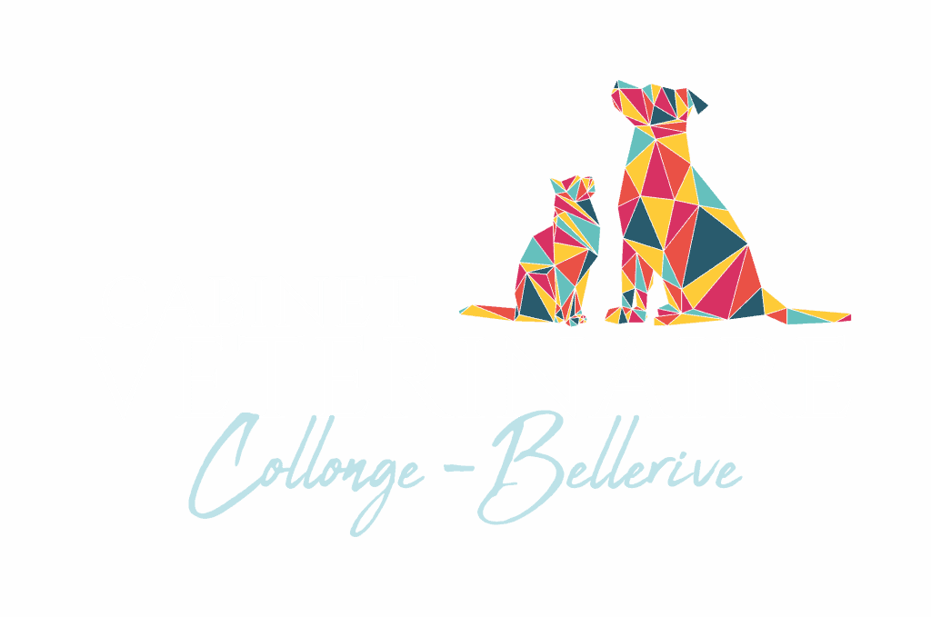 Cabinet véterinaire Collonge